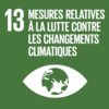 Notre contribution aux objectifs de développement durable : mesures relatives à la lutte contre le changement climatique