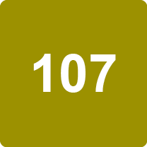 Ligne 107